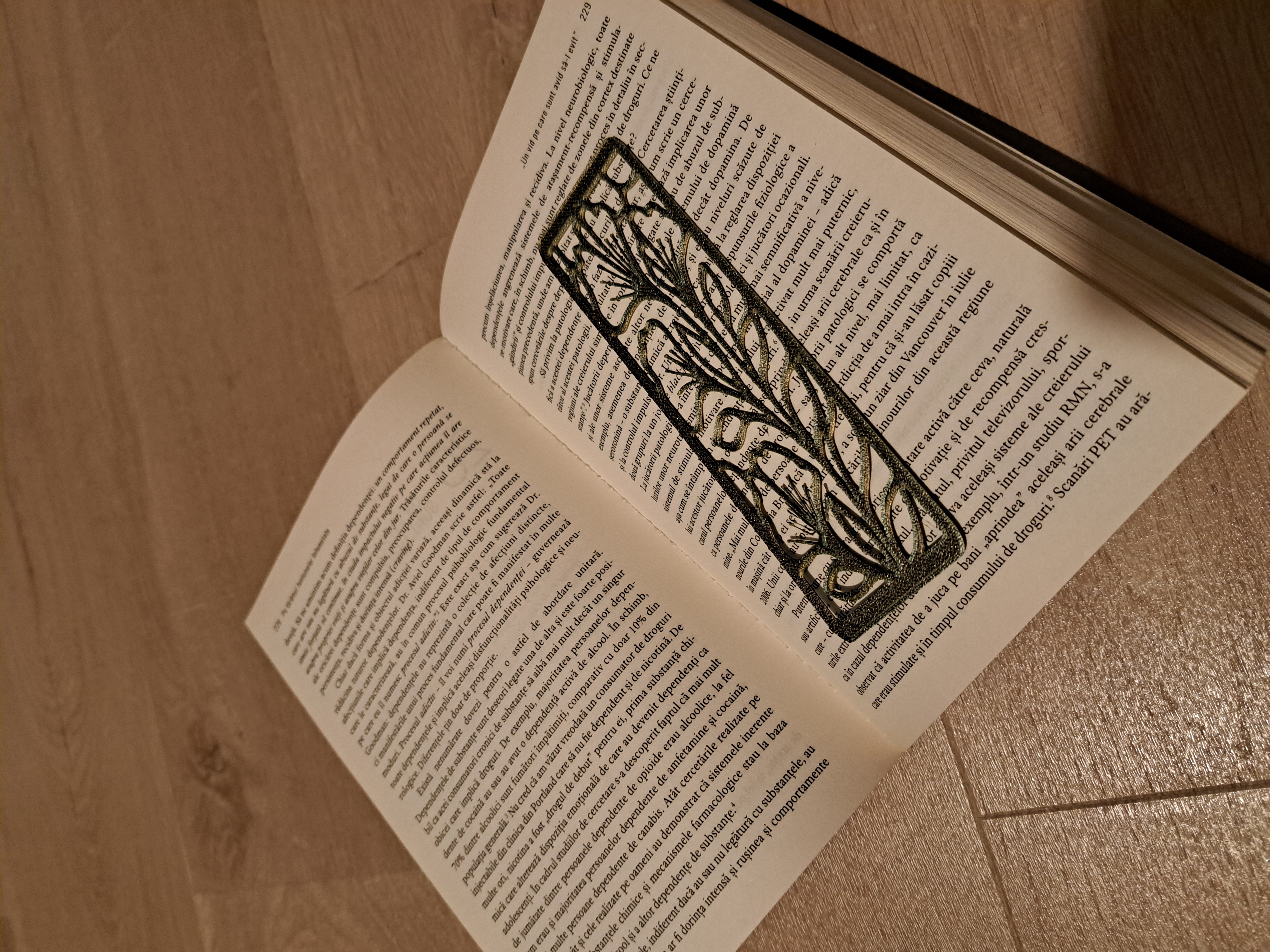 Semn de carte detaliu